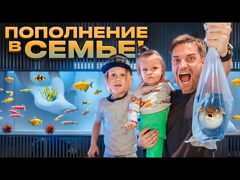 Видео: Построил Аквариум на 2 Тонны. Покупка Рыб на Птичьем Рынке.