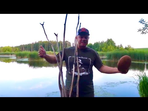 Видео: Ловля карпа на палку! Примитивная снасть рулит!