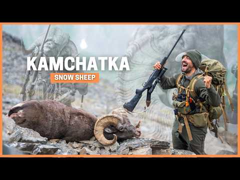 Видео: Охота на снежного барана на Камчатке. Настоящее испытание в горах