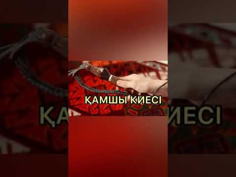Видео: Қамшының қасиеті