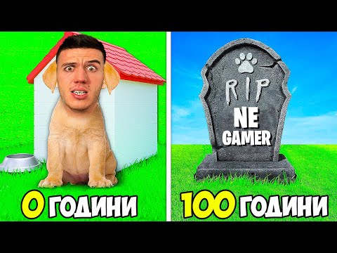 Видео: ОТ РАЖДАНЕ ДО СМЪРТ ЗА 24 ЧАСА, НО СЪМ КУЧЕ | ЕПИЗОД 1 | DOG LIFE SIMULATOR