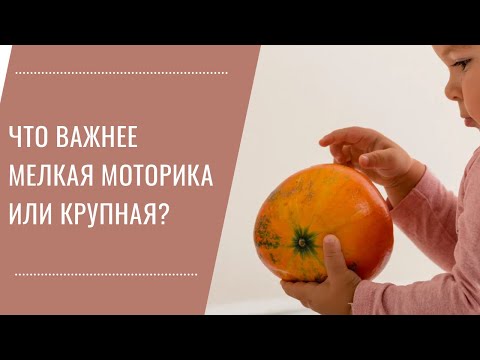 Видео: Мелкая или крупная моторика, что важно для развития ребенка и что за что отвечает?