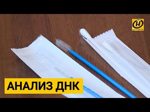 Видео: Установить отцовство. Тест ДНК. Где сделать и сколько стоит?