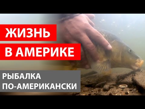 Видео: РЫБАЛКА ПО-АМЕРИКАНСКИ ИЛИ КАК ПОЙМАТЬ КАРПА. ЖИЗНЬ В АМЕРИКЕ.