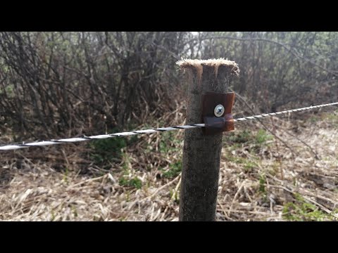 Видео: Халявные изоляторы для электро пастуха. Огорожено новое пастбище.