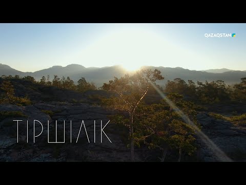Видео: «Тіршілік» бағдарламасы І Орманшы Ғалы Оразалин