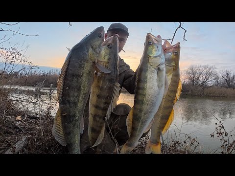 Видео: СУМАСШЕДШИЙ КЛЁВ КРУПНОГО СУДАКА! НАРВАЛСЯ НА ЖОР РЫБЫ ПЕРЕД ЗИМОВКОЙ. АСТРАХАНЬ.