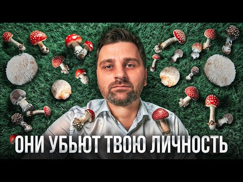 Видео: Вот почему тебе НЕЛЬЗЯ принимать мухомор и ежовик! Это должен знать каждый