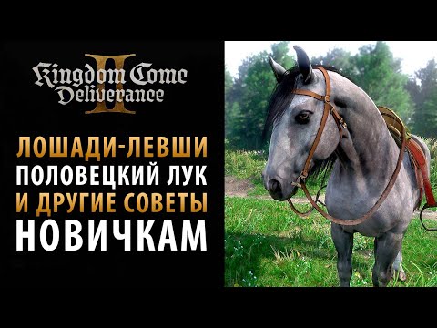Видео: Половецкий лук, комплект одежды и другие советы новичкам в Kingdom Come: Deliverance 2
