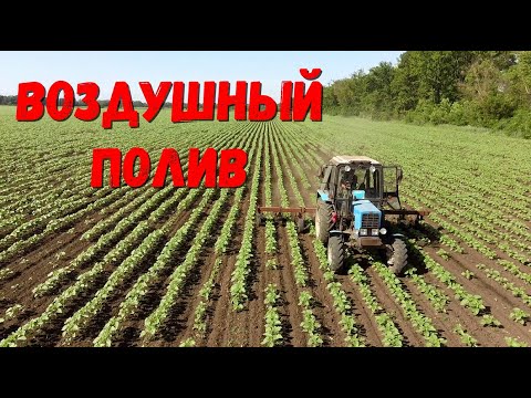 Видео: Рыхление ПОЧВЫ на Подсолнечнике / Борьба с СОРНЯКАМИ  в посевах.