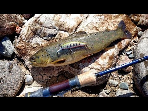 Видео: РЫБАЛКА С НОЧЁВКОЙ! ЛОВИМ ФОРЕЛЬ НА ВОБЛЕРЫ И БЛЕСНА В ГОРНОЙ РЕКЕ.