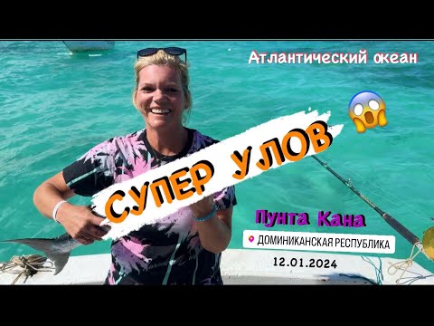 Видео: Супер Рыбалка в Доминикане 2024 | Атлантический океан | Punta Cana | Dominican Republic |