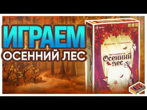 Видео: Играем в настольную игру Осенний Лес
