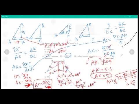 Видео: Цилинлр және конус