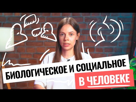 Видео: Обществознание ЕГЭ | «Биологическое и социальное в человеке» | Кратко