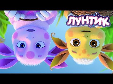 Видео: Лунтик | Все наоборот | 556 серия