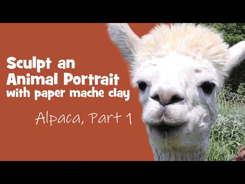 Видео: Лепим альпаку из папье-маше. Часть 1