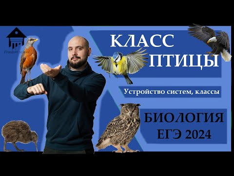 Видео: Класс ПТИЦЫ для ЕГЭ 2024 |ЕГЭ БИОЛОГИЯ|Freedom|