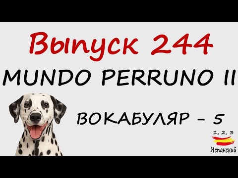 Видео: 244. Mundo perruno II - Вокабуляр - 5