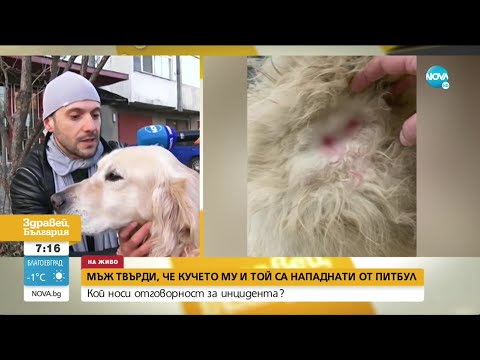 Видео: Мъж твърди, че той и кучето му са били нападнати от питбул - Здравей, България (02.03.2021)