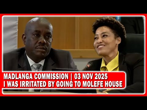 Видео: Уорент-офицер Сабело Нкоси показал следственной комиссии Мадланги показания: «Я был раздражен»