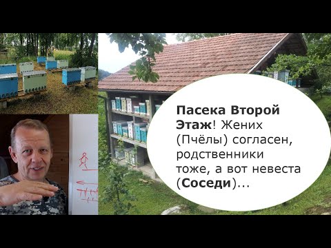 Видео: Размещение пасеки на втором этаже выше человеческого роста удобно или нет для соседей пчеловода.