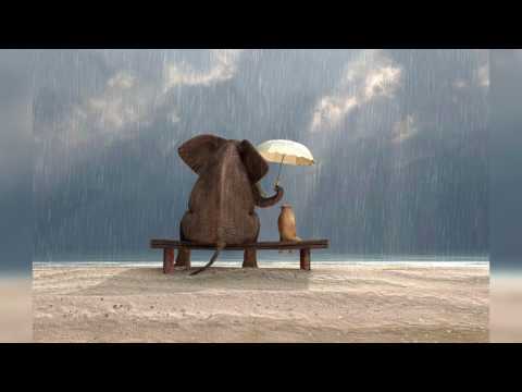 Видео: Эффективдүү коммуникация, мотивация жана мобилизация