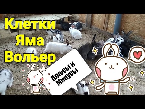 Видео: Три способа содержания кроликов. Клетки , Кроличья Яма и вольер - плюсы и минусы .