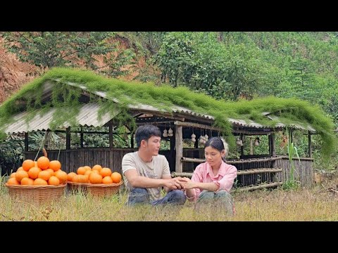 Видео: «Мать-одиночка и богатый деревенский парень: любовь началась с апельсина в домашнем саду»