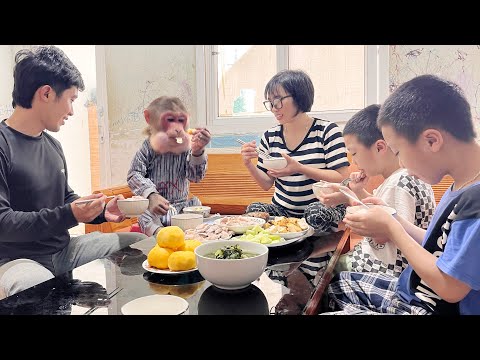 Видео: Сладкое блюдо, которое семья щенков Пом даёт обезьянке Максу ❤️