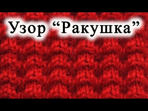 Видео: Вязание спицами.  Узор "Ракушка"
