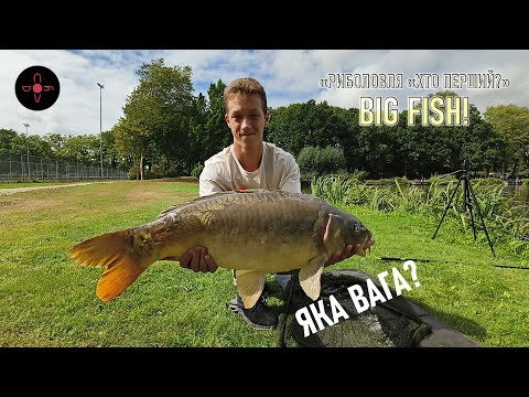 Видео: Риболовля "Хто перший?". BIG FISH! Випуск 12