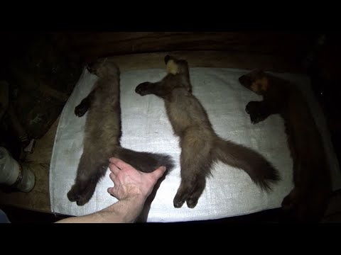 Видео: 17 дней в тайге в глухозимье. Информационный.. Заключительная часть