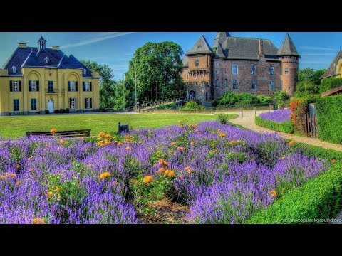 Видео: Весна в Германии бушует цветами и красками!