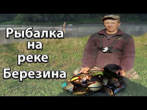 Видео: Рыбалка на реке Березина. Рыбалка в Беларуси. Ловля краснаперки на реке.