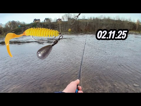 Видео: Рыбалка на Нарове: ультралайт и скользящий дроп-шот.