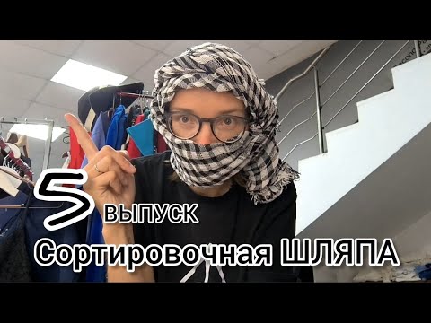 Видео: 5. Сортировочная шляпа. Принты, вздохи и несколько куриц 🐔