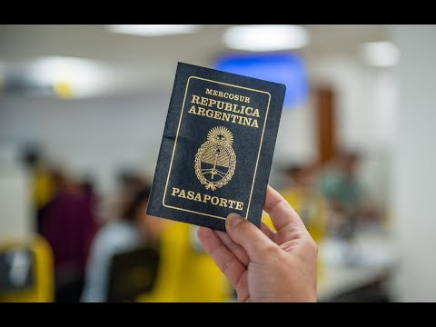 Видео: Начинаем дело по гражданству- 2