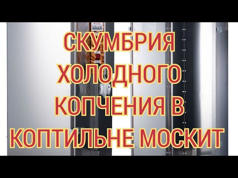 Видео: рецепт СКУМБРИЯ ХОЛОДНОГО КОПЧЕНИЯ в Электростатической Коптильне МОСКИТ. Алексей Краснов
