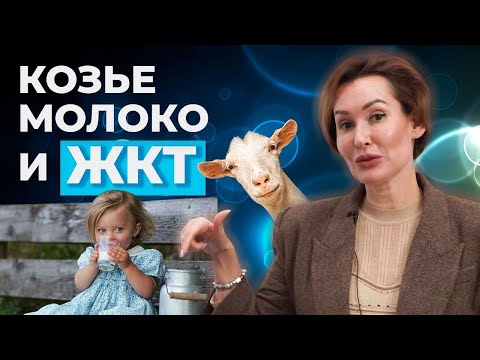 Видео: ЖЕЛУДОЧНО-КИШЕЧНЫЙ ТРАКТ И КОЗЬЕ МОЛОКО. СОВЕТУЕТ ВРАЧ