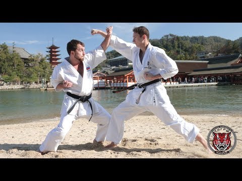 Видео: Программа "Чёрный пояс" с участием команды каратэ Зеленограда "Тигры"