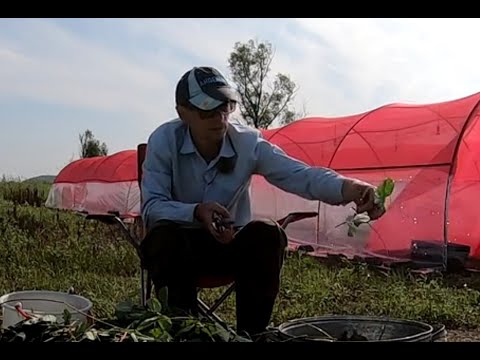 Видео: Общие проблемы