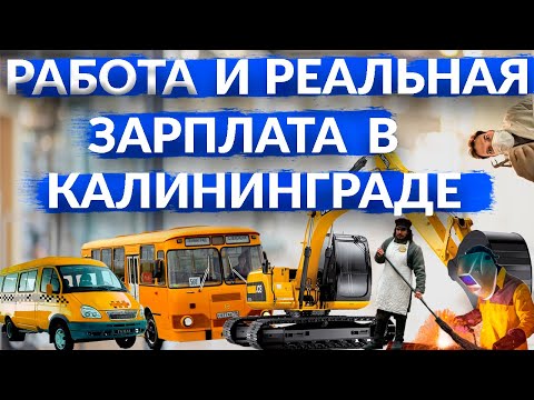 Видео: Работа и Реальная зарплата в Калининграде/Специальности по которым ВСЕГДА есть вакансии