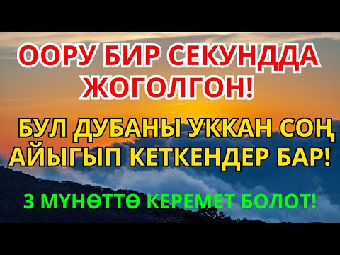 Видео: Дубанын күчү: ооруну жок кылып, заматта шыпаа тартуулайт