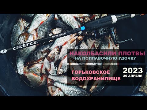 Видео: НАКОЛБАСИЛИ ПЛОТВЫ на ГОРЬКОВСКОМ водохранилище 2023. Рыбалка на ПОПЛАВОК с друзьями.