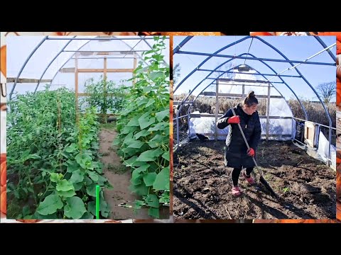 Видео: ГОТОВЛЮ ТЕПЛИЦУ К ЗИМЕ.