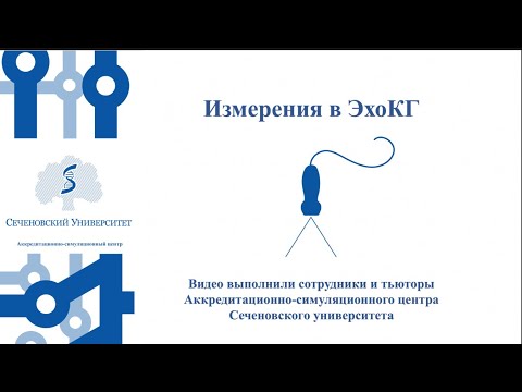 Видео: Измерения в ЭхоКГ