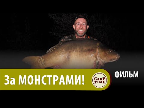 Видео: 💥 СЕКРЕТЫ ловли САМЫХ БОЛЬШИХ 💥 карпов! Марк Питчерс МЧИТ за МОНСТРАМИ Боснии! ФИЛЬМ