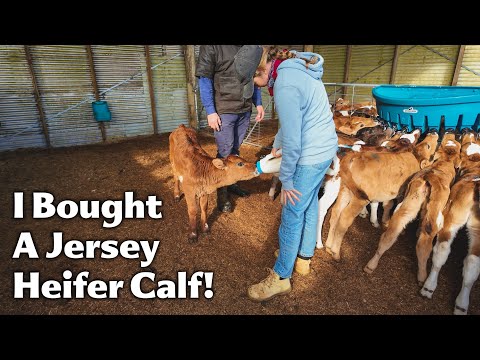 Видео: Не могу поверить, что это произошло! — Новое пополнение на ферме!