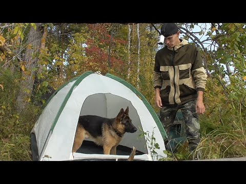 Видео: Ночевка на берегу реки. 24 часа на рыбалке